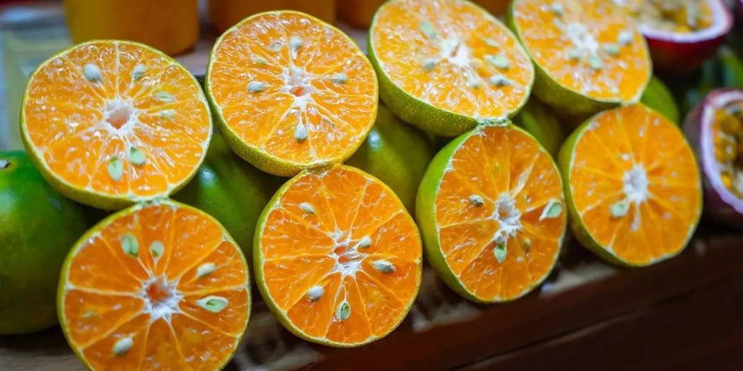 Kendisi ve kabuğu kadar çekirdeği de faydalı çıktı! İlaç gibi yutun, bilen çöpe atmıyor 4